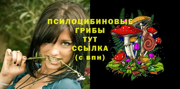 первитин Абаза