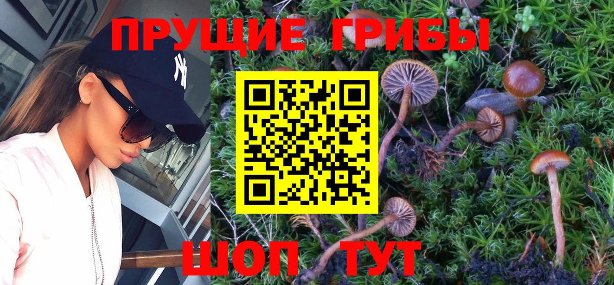 Псилоцибиновые грибы GOLDEN TEACHER  Галлюциногенные грибы Magic Shrooms  Егорьевск  Вход с VPN 